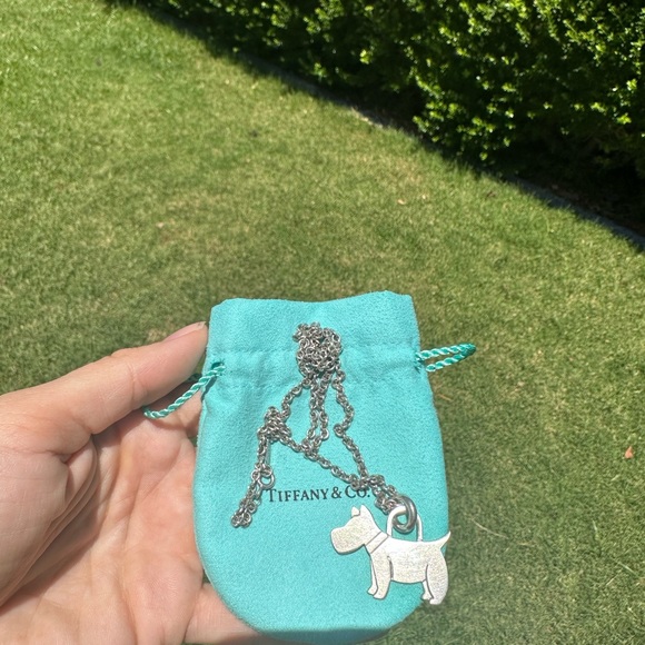 Tiffany and Co neckless - Picture 3 of 3